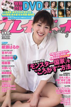 狗阵在线观看完整版免费高清